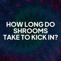How long does it take for shrooms to kick in